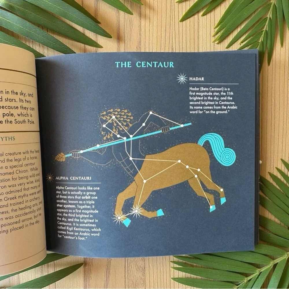 Seeing Stars: A Complete Guide to the 88 Constellations | Phaidon | 2018